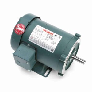 Leeson 20:1 Speed Ratio Motors