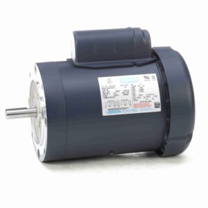 Leeson 50 Hz Motors