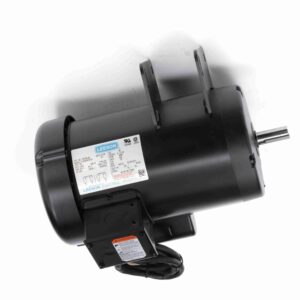 Leeson Other Purpose Motors