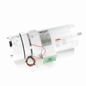 Leeson White Epoxy Brake Motors