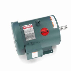 Leeson 575 Volts Motors