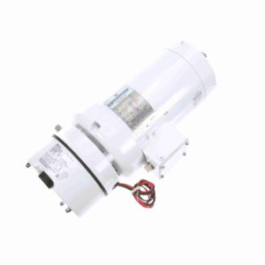 Marathon White Epoxy NEMA Washdown Motors