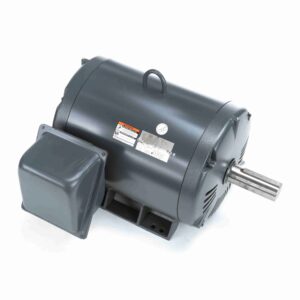 Leeson Multiguard Motors