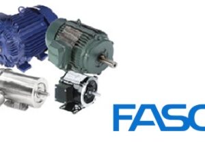 Fasco Low Voltage NEMA Motors