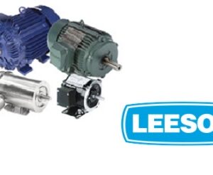 Leeson Low Voltage NEMA Motors