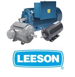 Leeson Special Voltage Motors